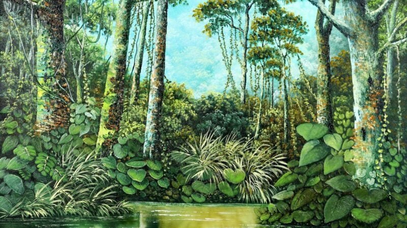 pintures la selva 1