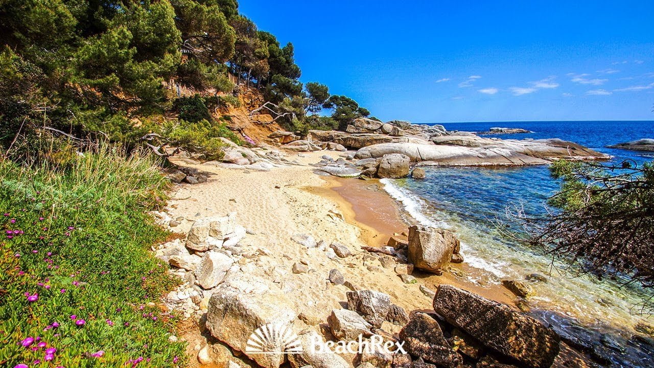 Platja de les Roques Planes