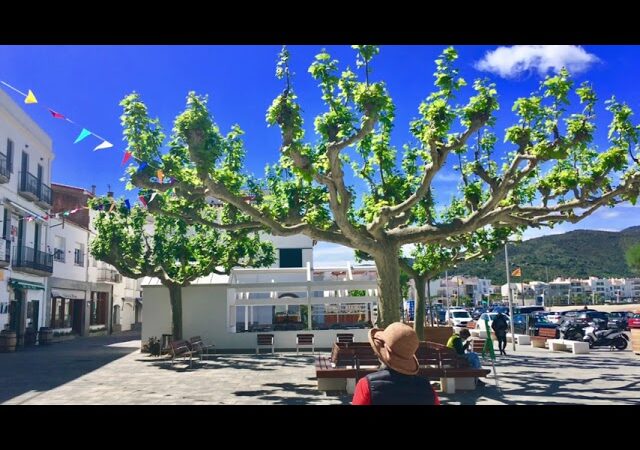 Platja del Rec de Canet – El Port de la Selva