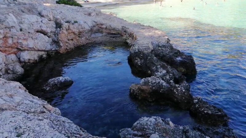 Playa de SEixugador