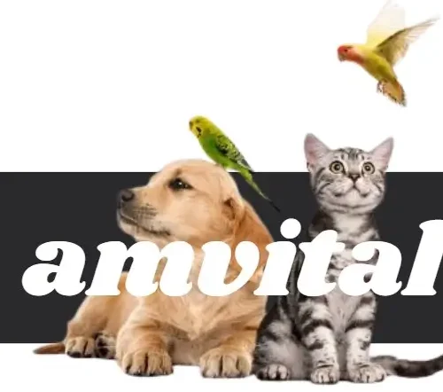 amvital pienso para animales