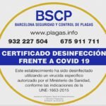 bscp barcelona seguridad y control de plagas