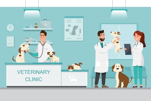clinica veterinaria