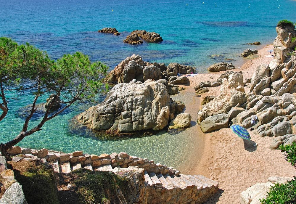 descubre la belleza oculta de la cala cap de planes tu guia turistica para disfrutar del paraiso mediterraneo