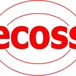 ecoss sistemes de seguretat