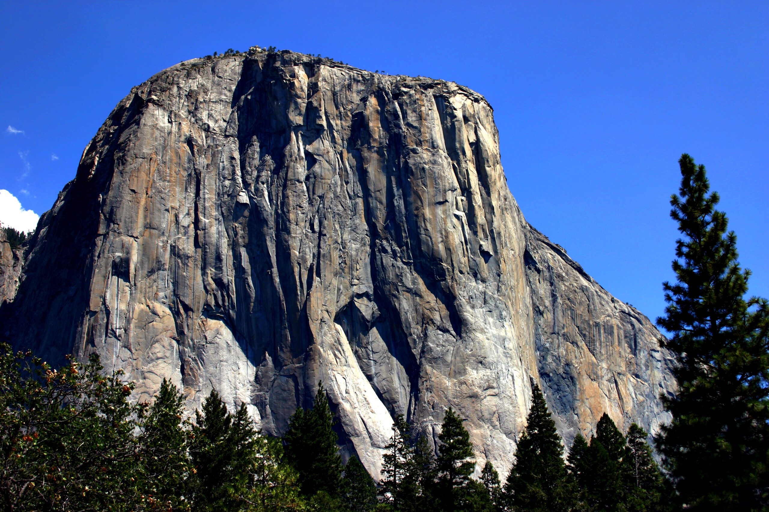 el capitano scaled