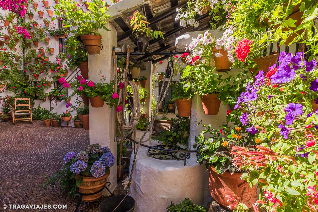 el mejor momento para visitar los patios de cordoba y disfrutar de su encanto