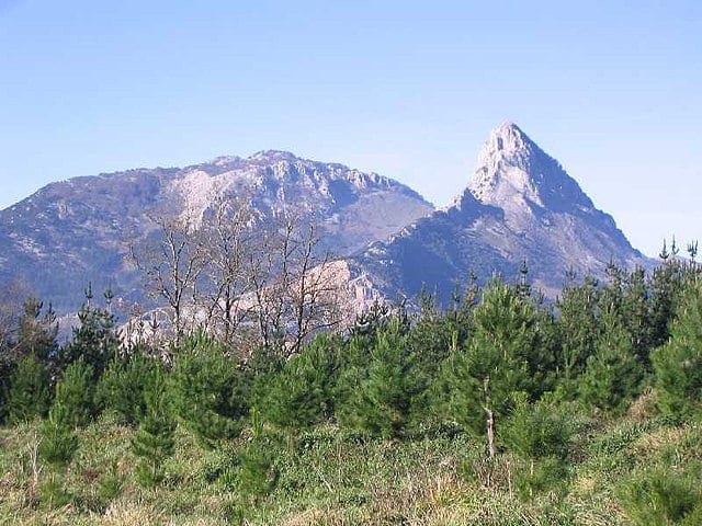 explora la diversidad de especies en la sierra de las nieves un tesoro natural unico