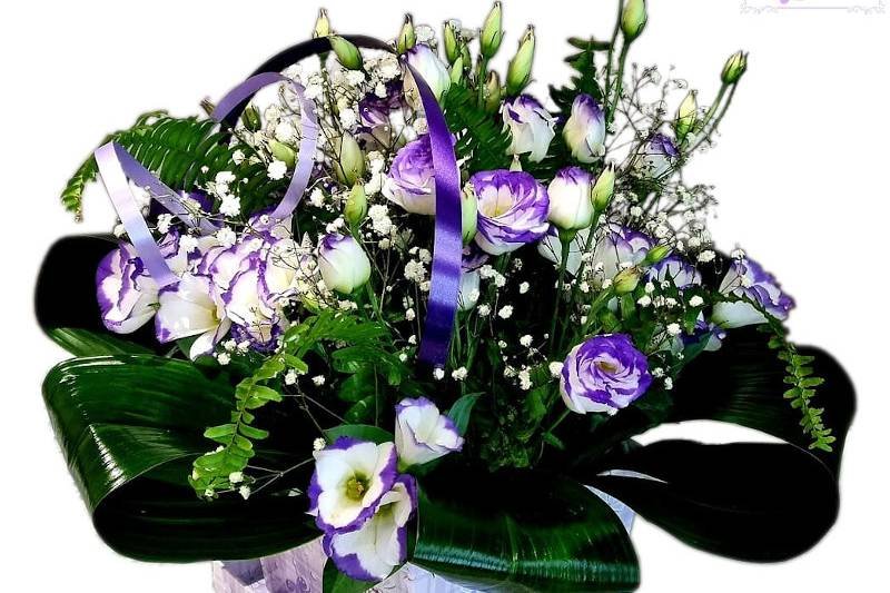 floristeria violette