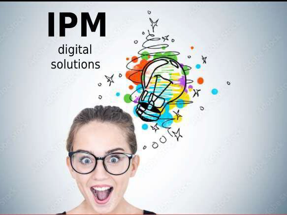 ipm digital solutions