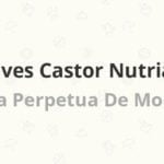 naves castor nutria 4 s l