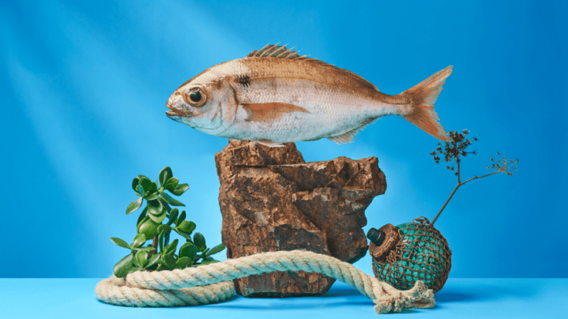 pescaderia puignau girona