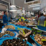 pescaderia vents et marees