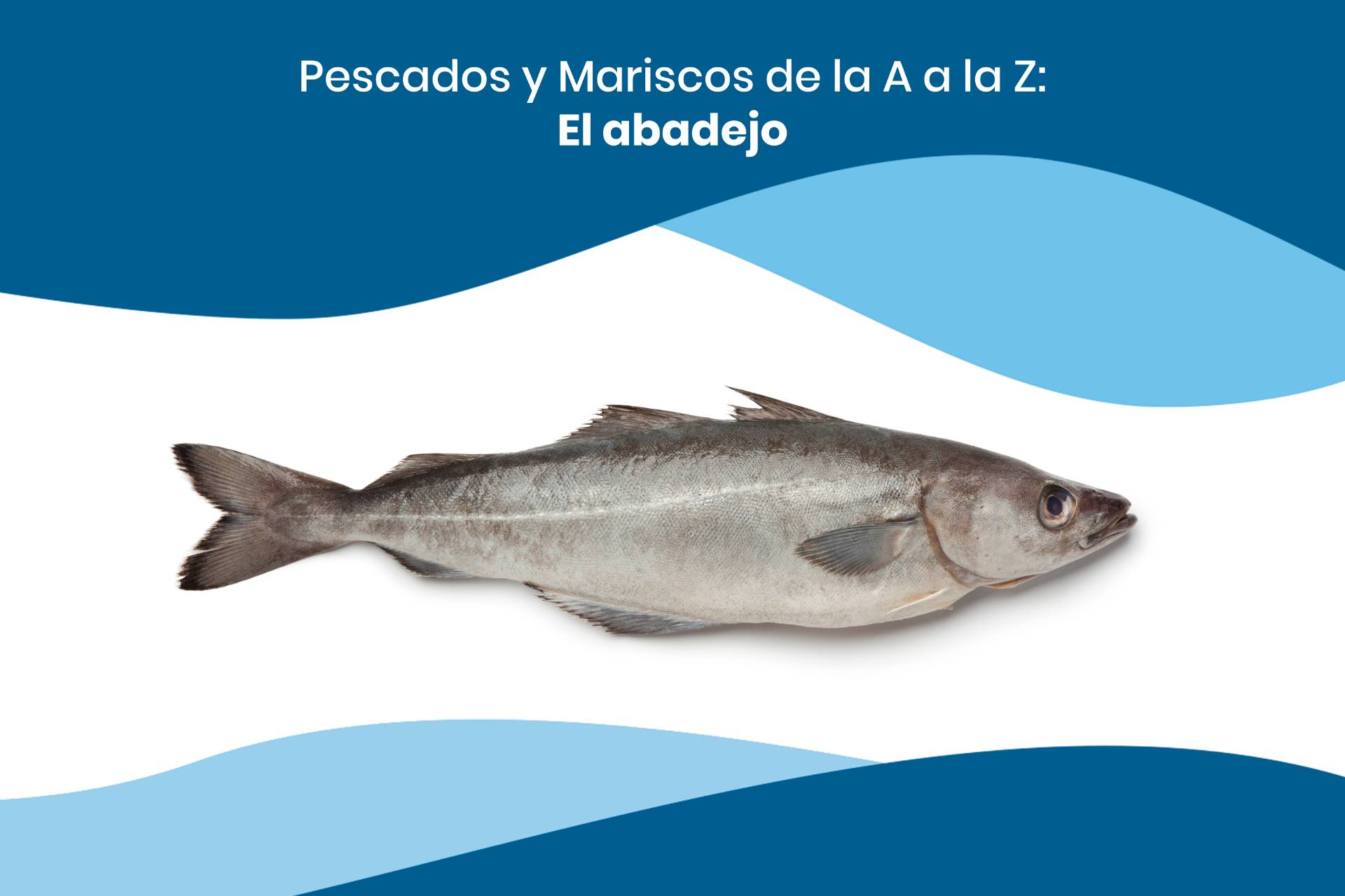 pescados pol