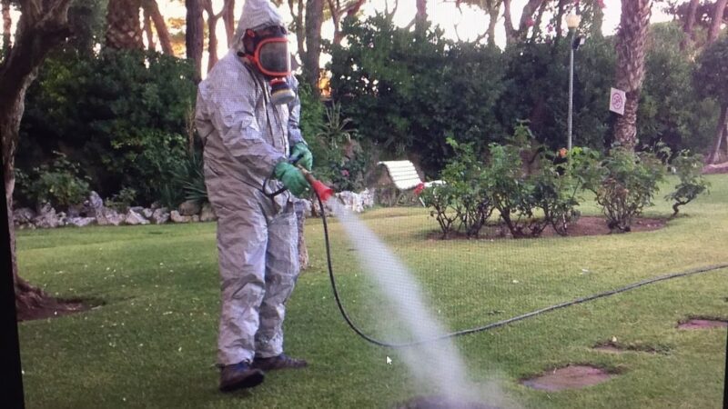 qntrolplaga controlplaga quality services