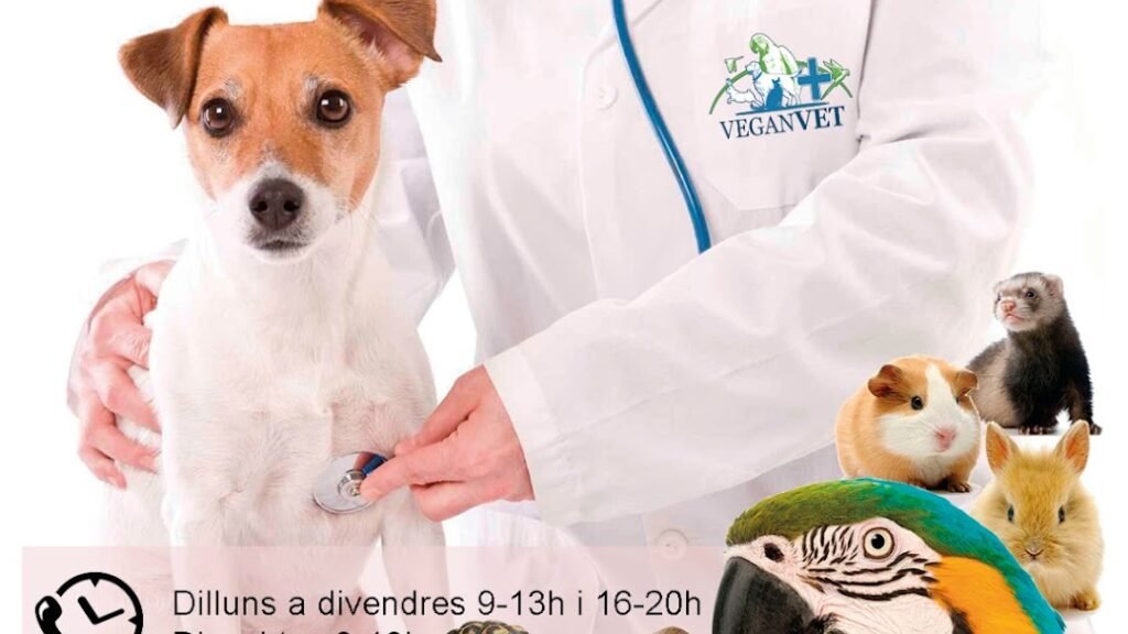 veganvet veterinaria